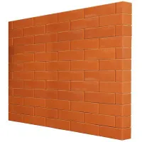 00000020062