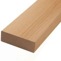 00000020595