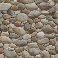 00000014159